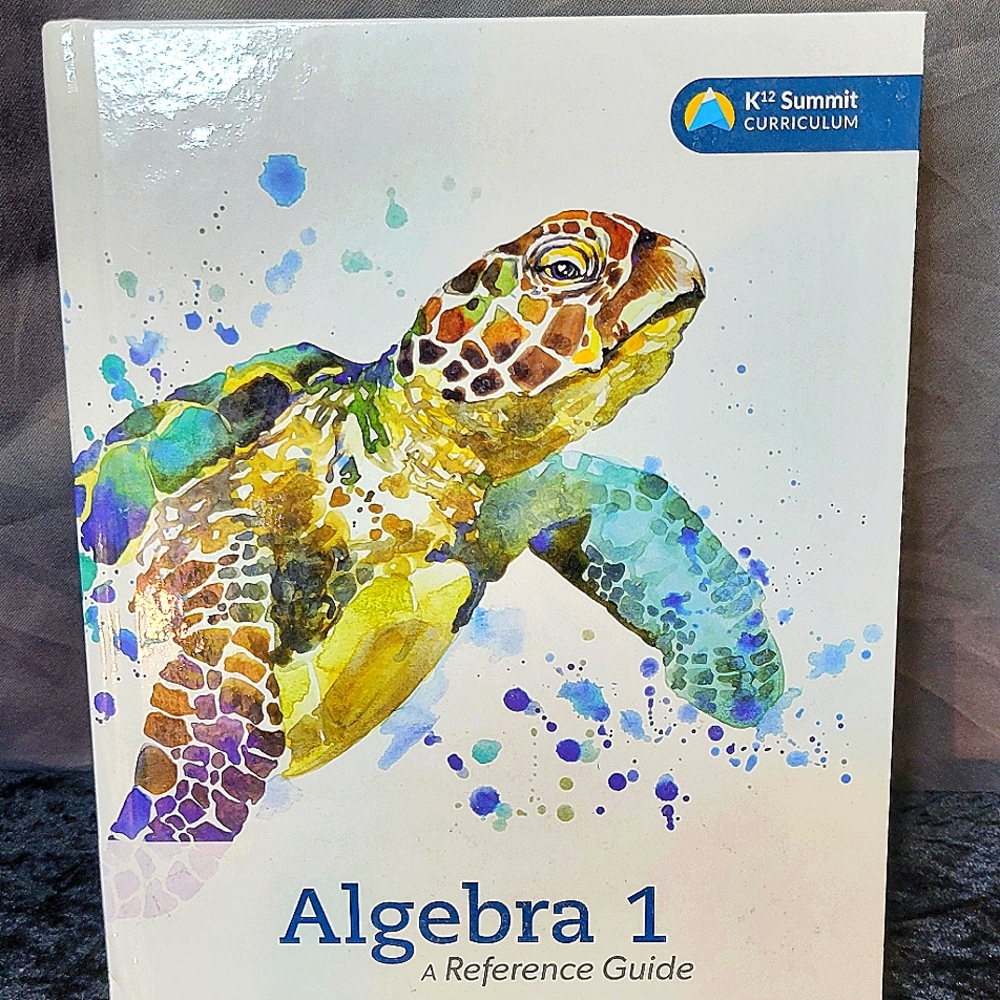 MIDDLE SCHOOL JR. HIGH MATH ALGEBRA 1 TEXT BOOK PRE OWNED EXCELLENT CONDITION